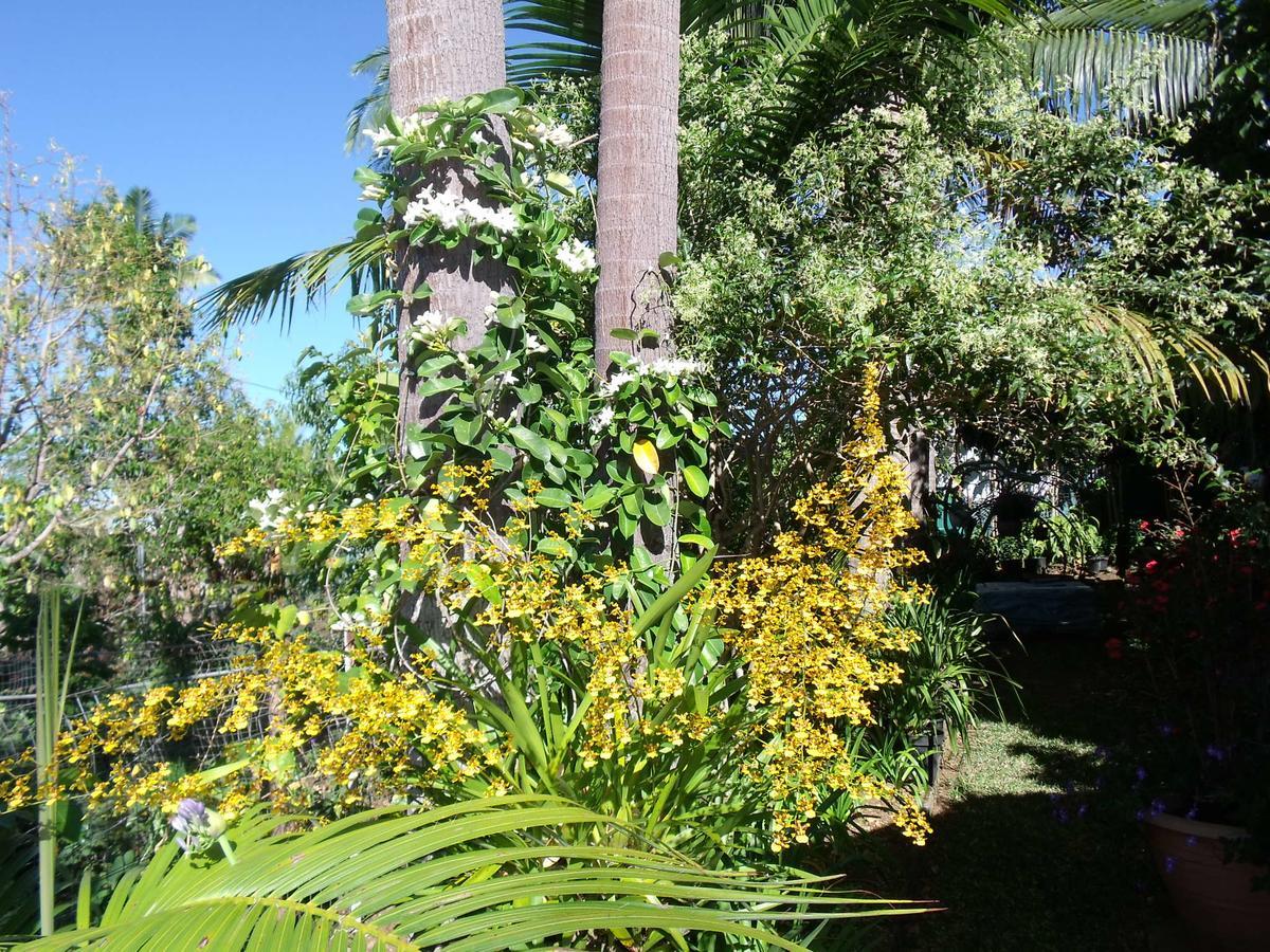 Les Agapanthes Villa Le Tampon Exterior photo