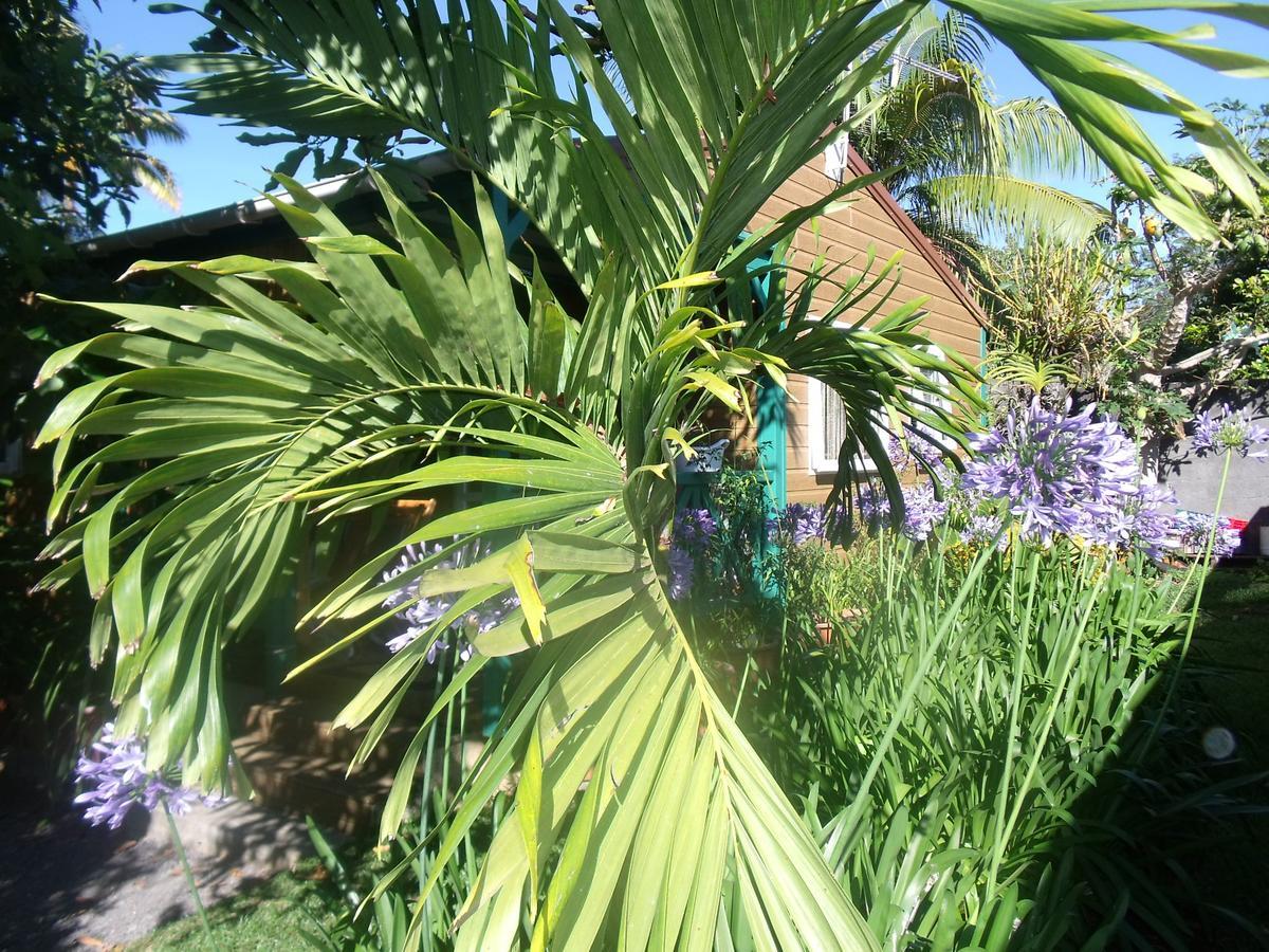 Les Agapanthes Villa Le Tampon Exterior photo