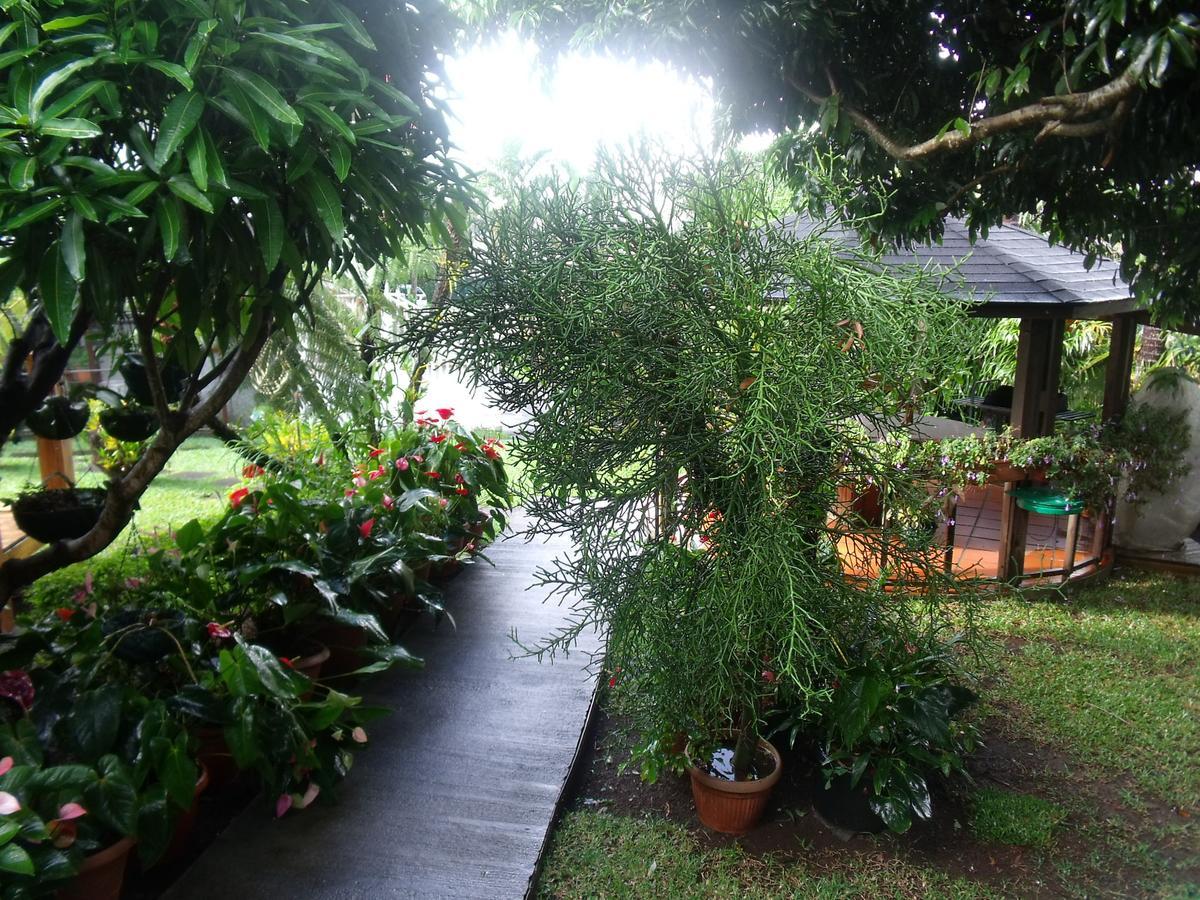 Les Agapanthes Villa Le Tampon Exterior photo